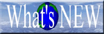 Latest News at Smith Basses