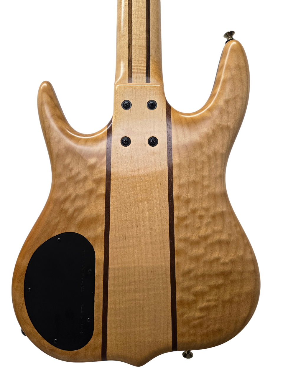 BT 5 Bolt-On Bass Guitar