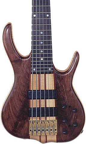 Crotch Walnut — (BSR) 6TN (Black Tiger) — Crotch Walnut (Feather Crotch)