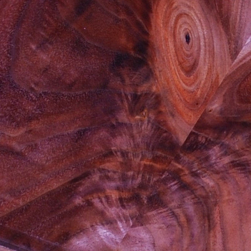 Crotch Walnut wood swatch