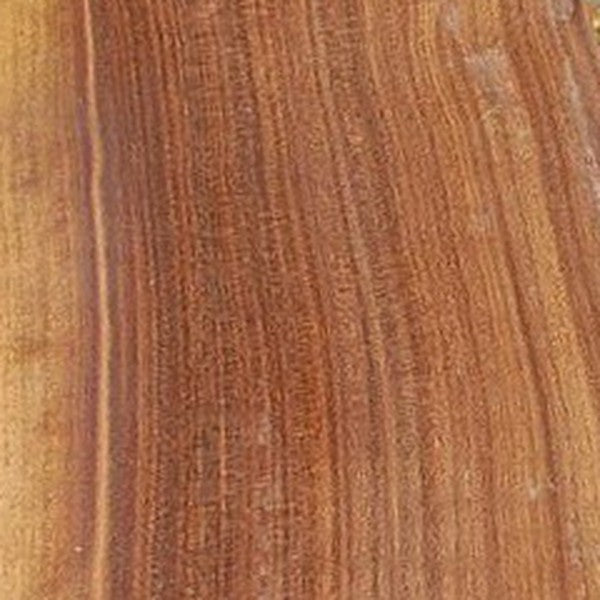 Walnut wood swatch
