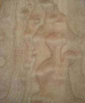 Western Quilted Maple Core Stock wood swatch