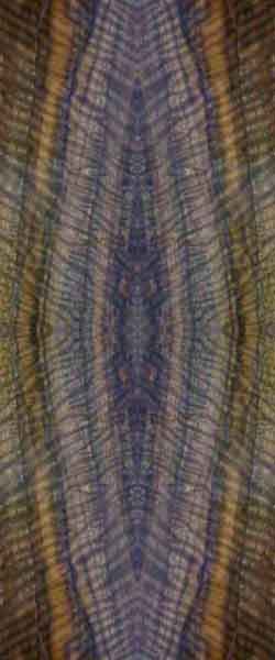 Claro Walnut wood swatch